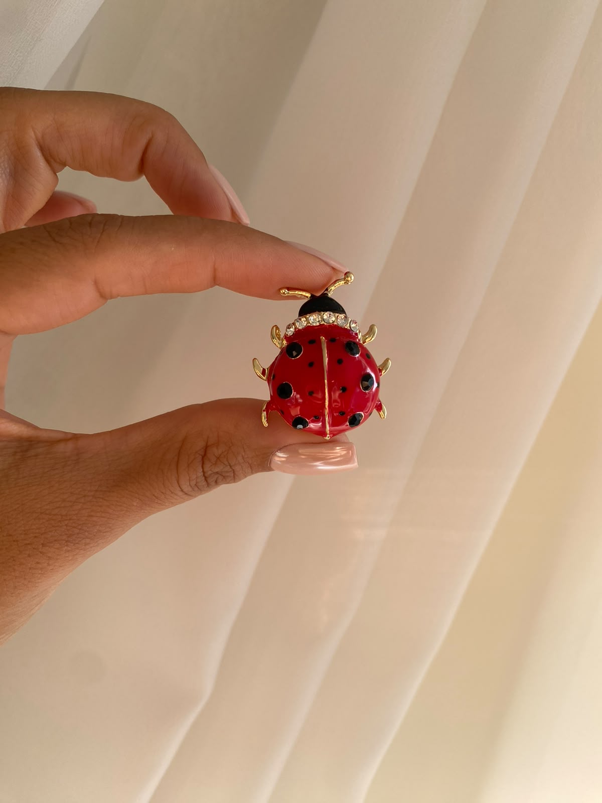 ladybird broş